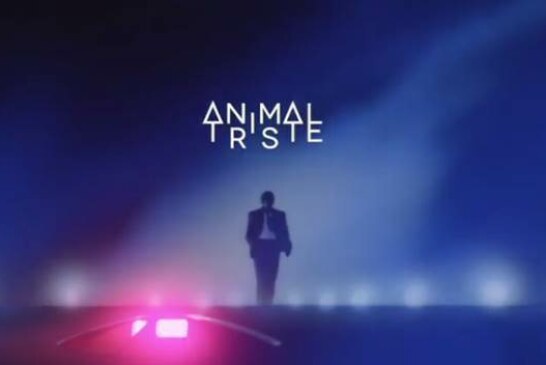 Animal Triste – Premier Album & Nouveau clip !