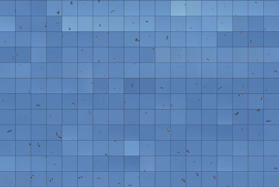 Prix Swiss Life à 4 mains: Exposition « Le Bleu Du Ciel