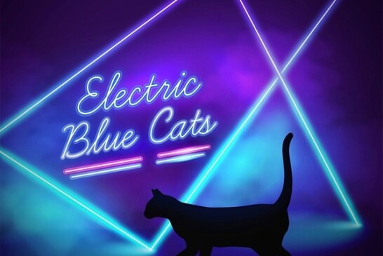 Electric Blue Cats, le clip de Change Your Partner 