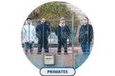 “Teamwork”, nouveau clip de Primates, à découvrir le 9 juin